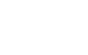 Salomon LOGO-no TTP-White